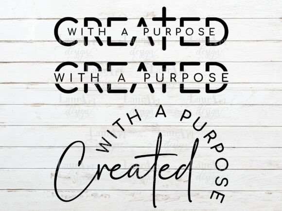 Created with a Purpose Christian Bible Review